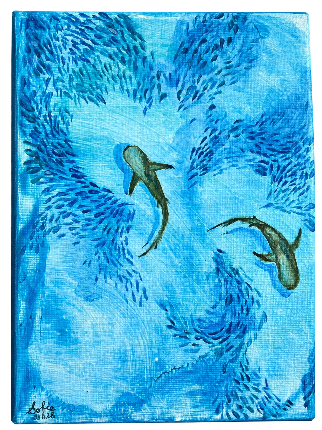 Ocean Studies · Shoal